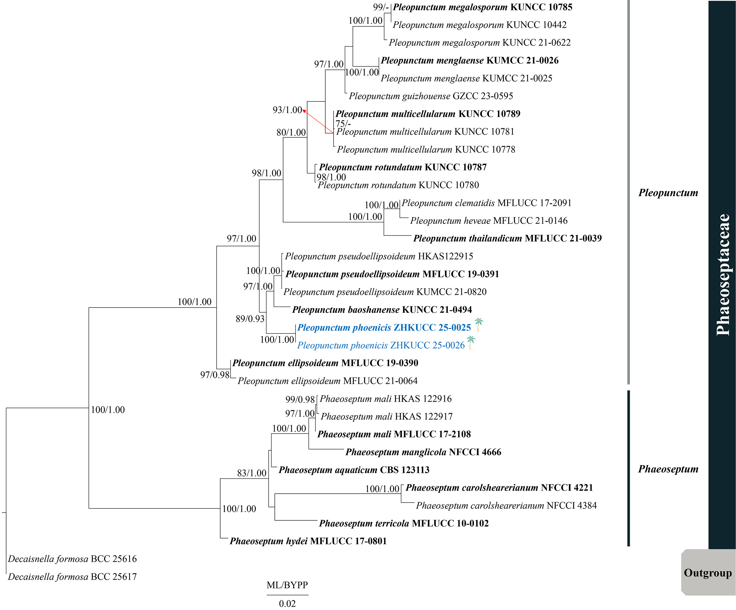 Figure 44